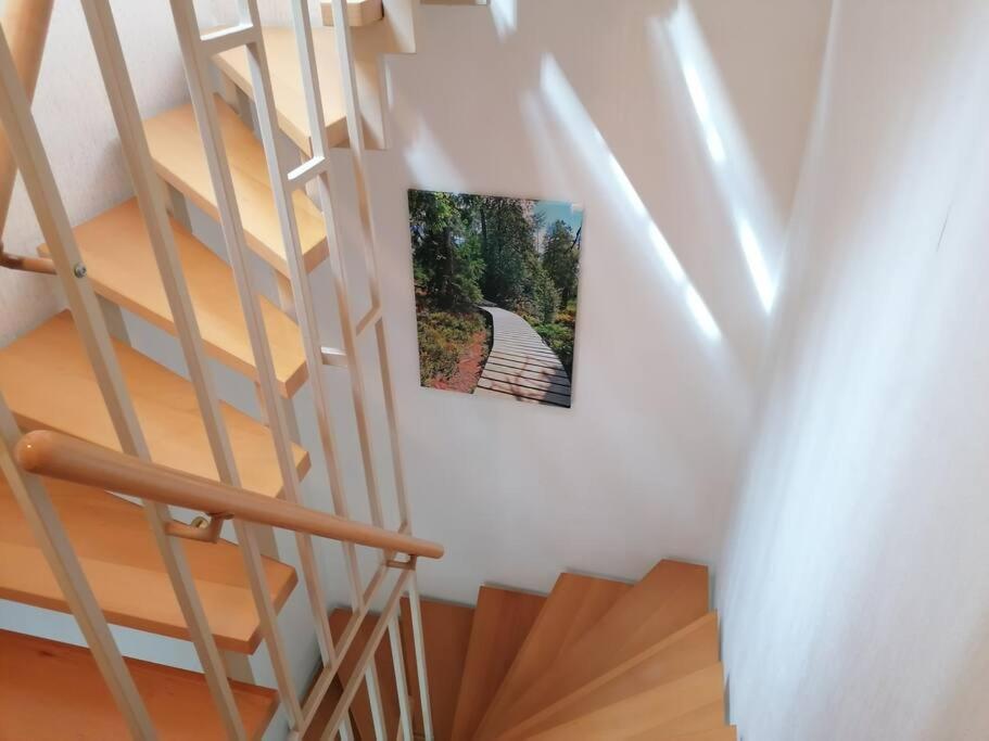 Ferienhaus Hoher Weg - Urlaub, Wandern, Downhill Und Workation Am Nationalpark Harz Санкт-Андреасберг Экстерьер фото
