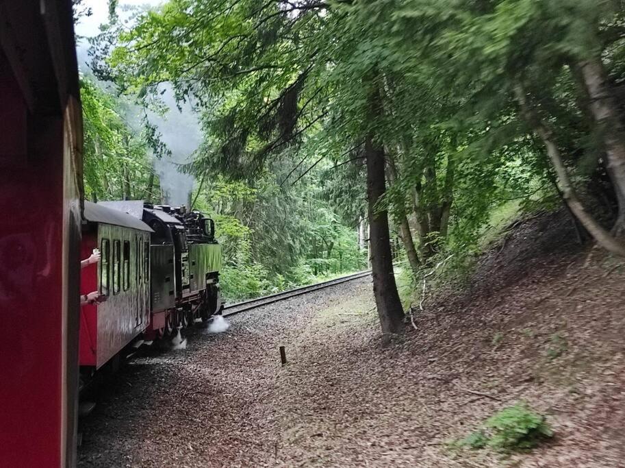 Ferienhaus Hoher Weg - Urlaub, Wandern, Downhill Und Workation Am Nationalpark Harz Санкт-Андреасберг Экстерьер фото
