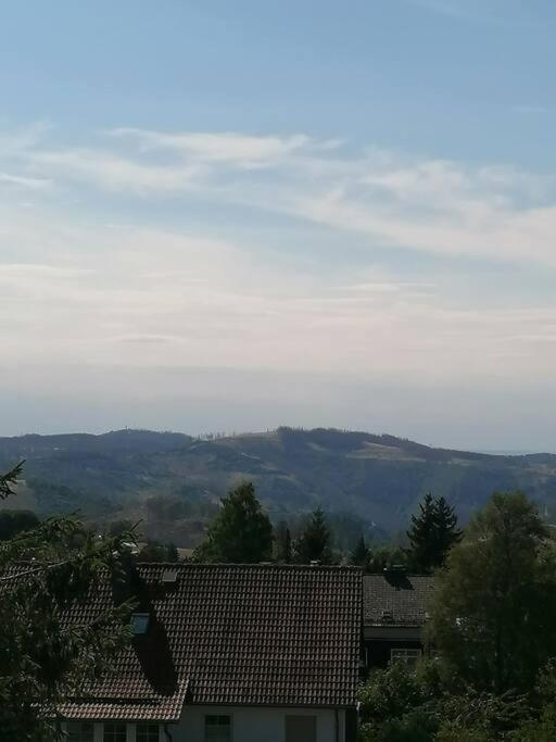 Ferienhaus Hoher Weg - Urlaub, Wandern, Downhill Und Workation Am Nationalpark Harz Санкт-Андреасберг Экстерьер фото