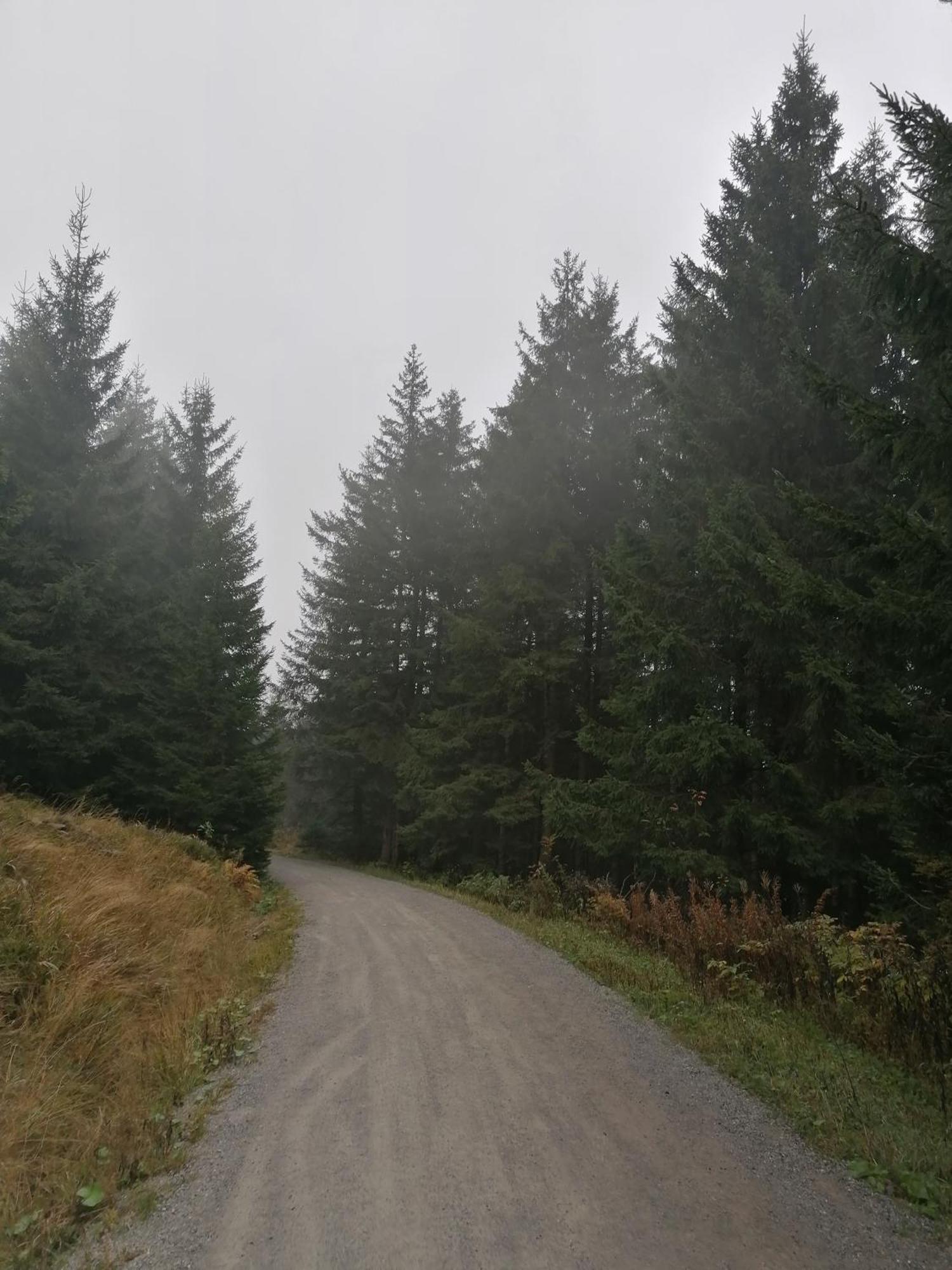 Ferienhaus Hoher Weg - Urlaub, Wandern, Downhill Und Workation Am Nationalpark Harz Санкт-Андреасберг Экстерьер фото